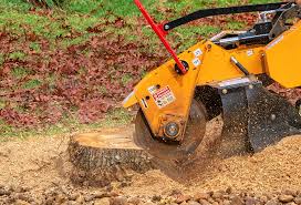 Best Lawn Renovation and Restoration  in Orland Park, IL
