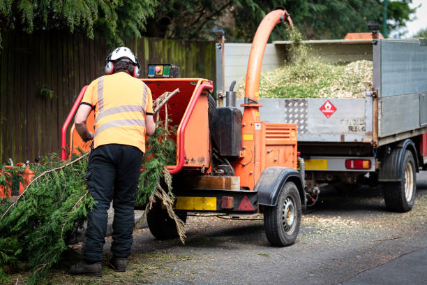 Best Commercial Tree Services  in Orland Park, IL