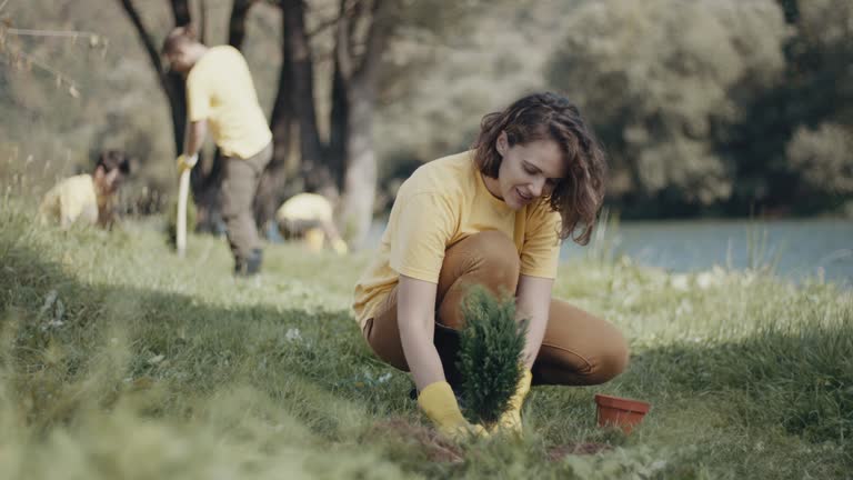 Soil Testing and Treatment in Orland Park, IL